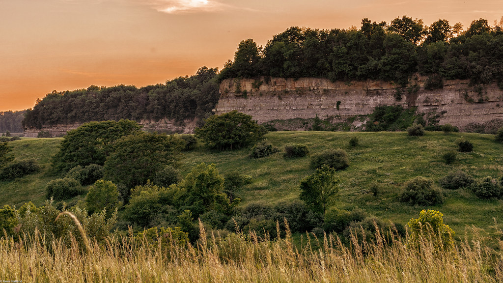 Save Ohio Parks tweet media