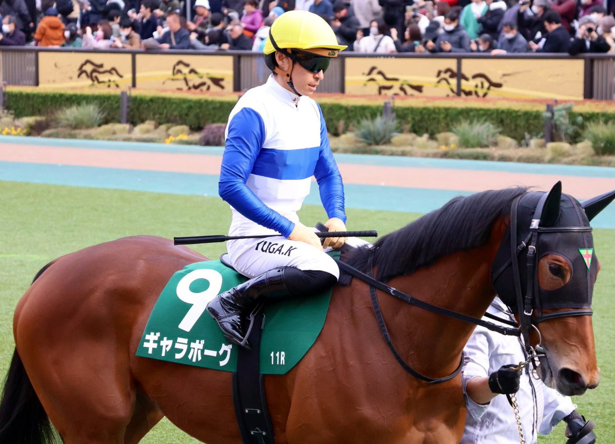 palacethorough's tweet photo. 2026.2.14 東京競馬場 11R
クイーンC(GⅢ) 芝1600m
ギャラボーグ(川田将雅)
----------------------------------
 #ロードTO https://t.co/62EQnC7YtC