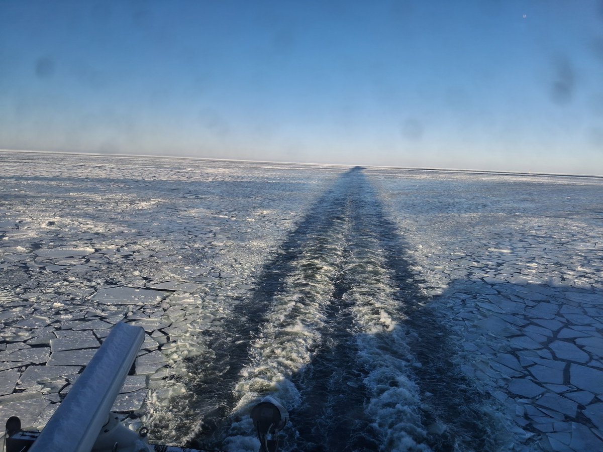 Hello, eesti!🇪🇪❤️