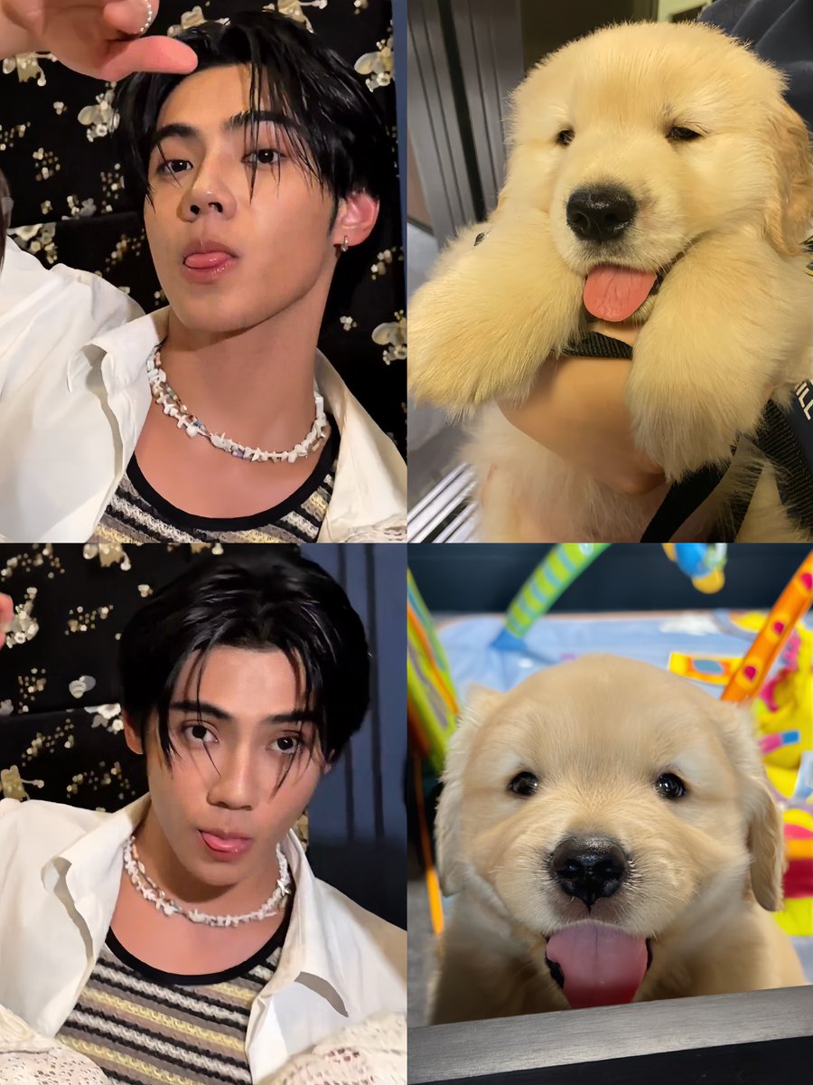 พร้อมตกหลุมรักม๋าน้อยแย้ะ 🐶♥️

#PEEMWASU 
#TConicLiveInPhuketxBUS