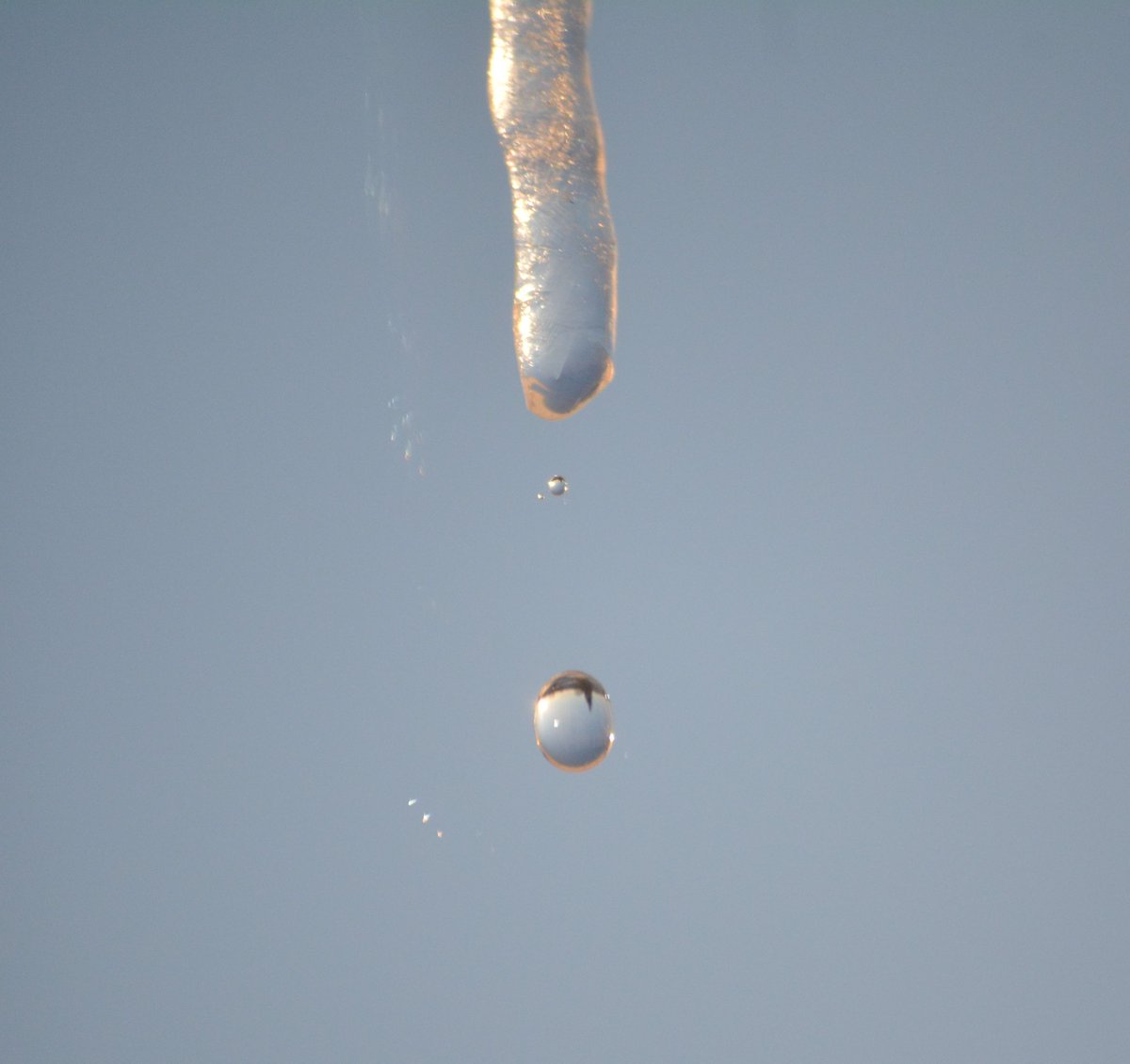 DrummerBoy2112's tweet image. A water drop falling from an icicle in the bright February sunshine. 
#pei #winter #StormHour