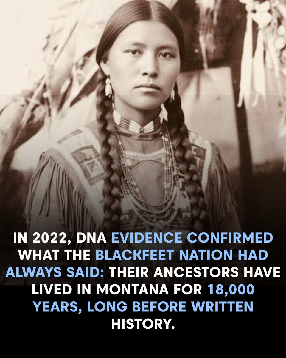 IndigenousTribes (@americanoffica1) on Twitter photo 