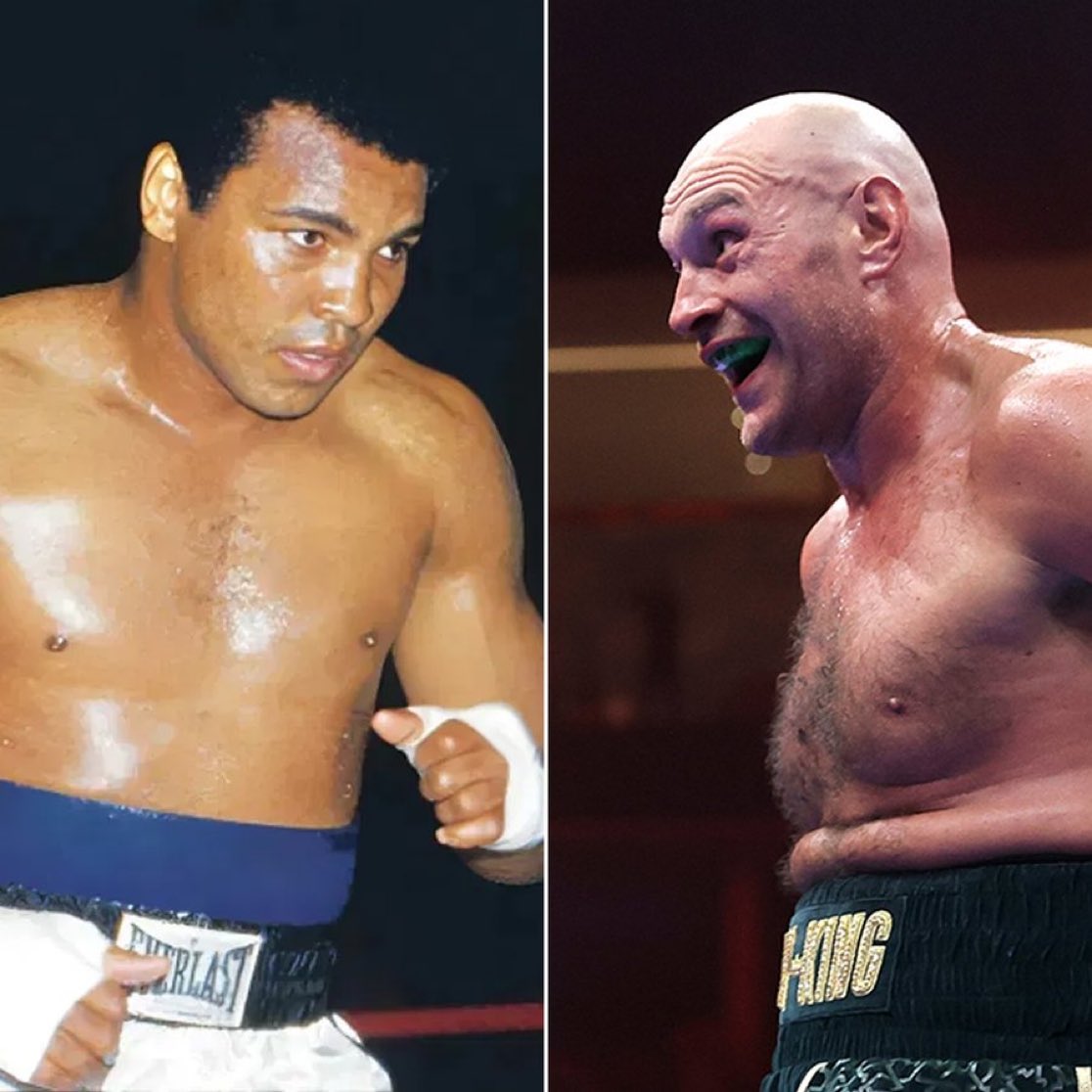 Vinny’s Corner tweet media