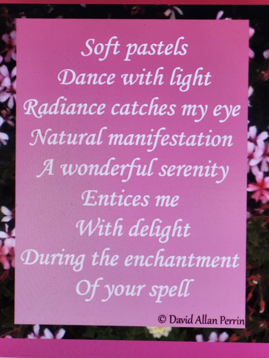 AllanPerrin's tweet photo. #HappyValentinesDay 
Valentines day 💓 

https://t.co/b8CY6SdXIZ

Soft pastels
Dance with light 
Radiance catches my eye
Natural manifestation 
A wonderful serenity 
Entices me 
With delight 
During the enchantment
Of your spell 

C2011DavidAllanPerrin https://t.co/ql43Ajqntd