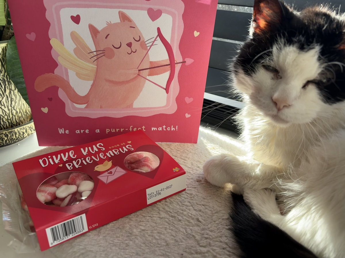 Scooby01020304's tweet photo. @Wybert2121 ❤️😻🥰
Liefde is…. Altijd van elkaar houden / om elkaar geven/ elkaar steunen etc etc
Grote lief van mijn grote liefde #wybert. Valentijnsdag 😻
Wat een verrassing!
Grote lief voor jou en je baasjes en neusje van mij Scooby voor wybert
💯 % liefde 🫶🏼 https://t.co/iHNDphg2Dt