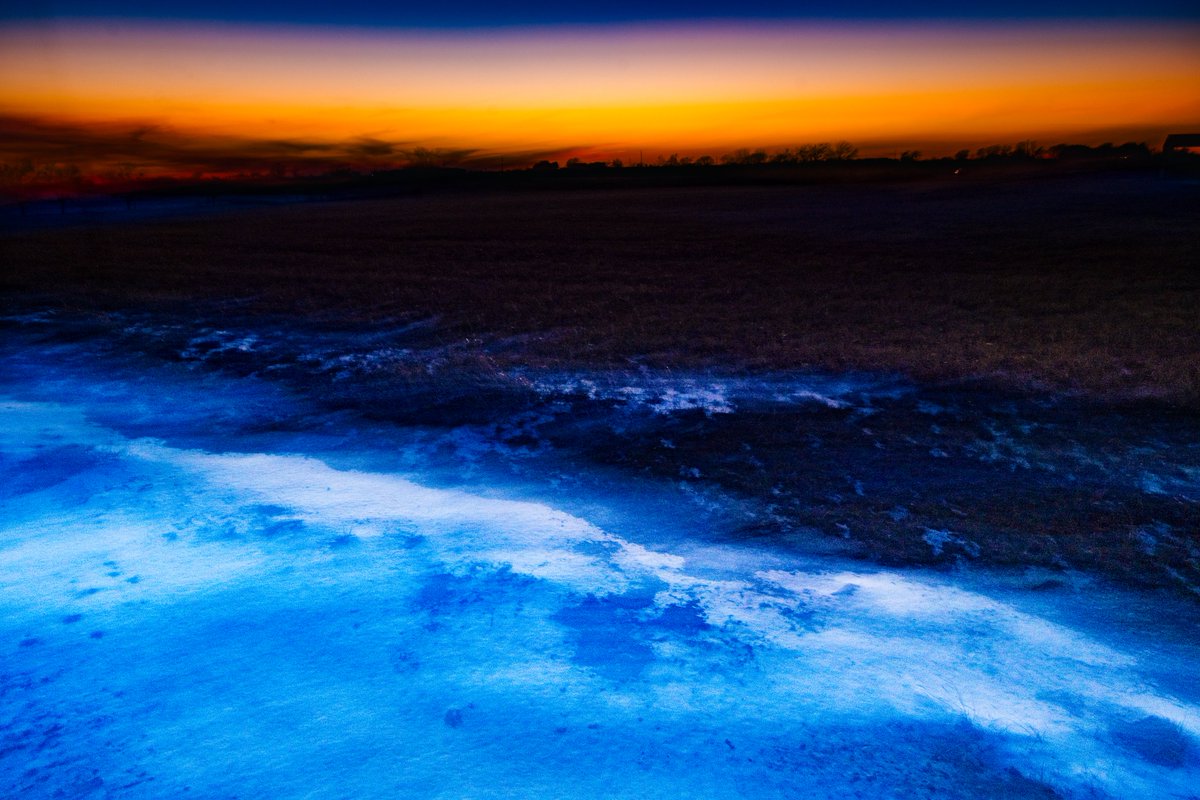 TyRy's tweet image. Austin, Texas  

#fujifilm #fujifilm_xseries #streetphotography #photography #fuji #atx #texas #TEXASFINEST #austintexas #car #ford #Mustang