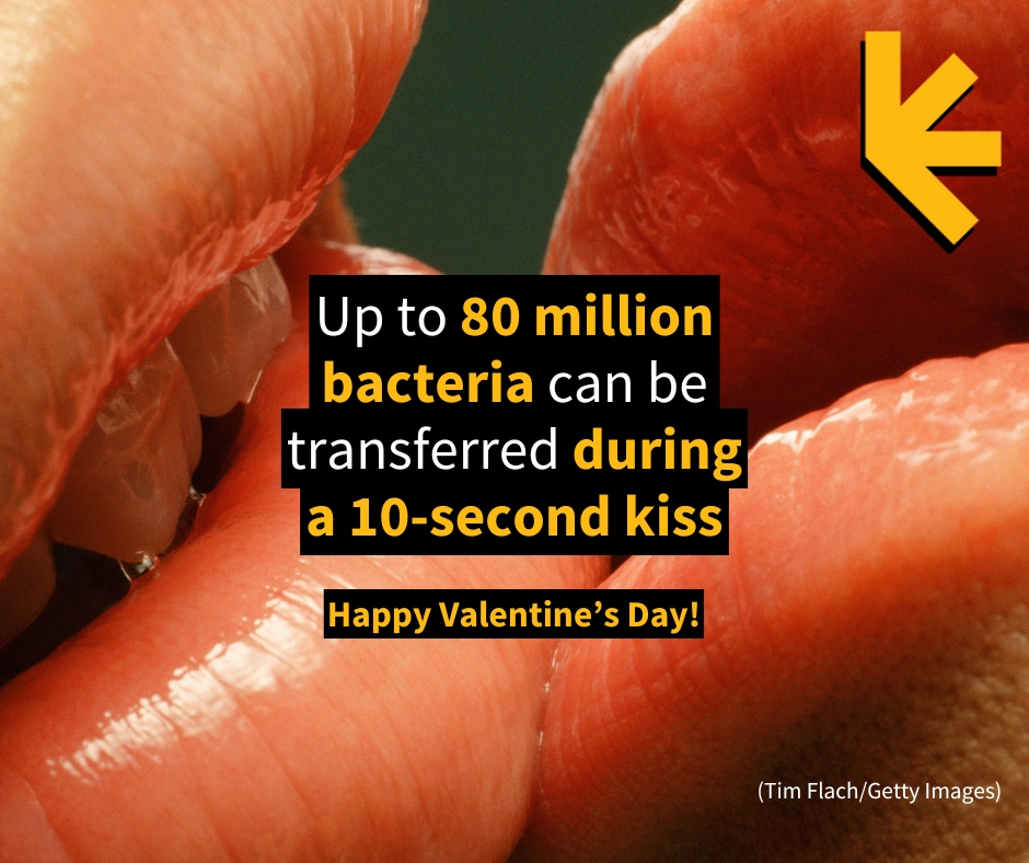 Sharing saliva and its various microbes and hormones may have more to do with falling in love than we ever knew. <a href="/VUamsterdam/">Vrije Universiteit Amsterdam (inactief)</a>
sciencealert.com/?p=192062&prev…