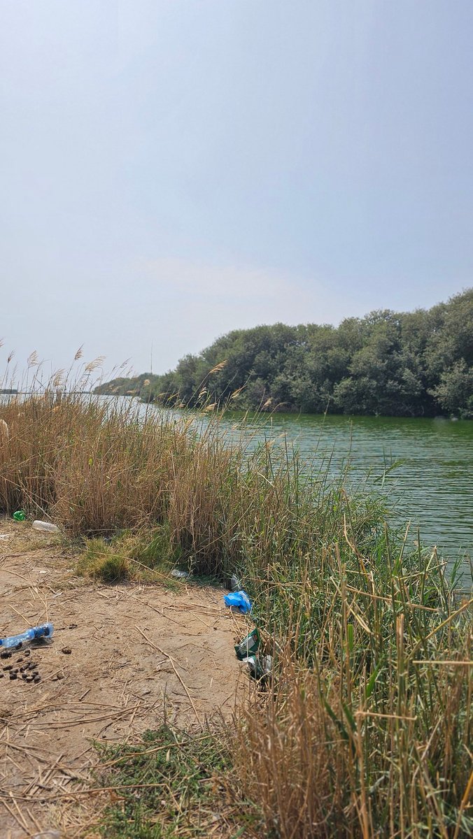 AhmedALBarami's tweet photo. خور عوقد من أجمل المواقع والتنوع البيئي والنباتي يفترض عمل طريق و ممشى ومنع رمى مخلفات البناء وغيرها https://t.co/ma29Pw6ZlW