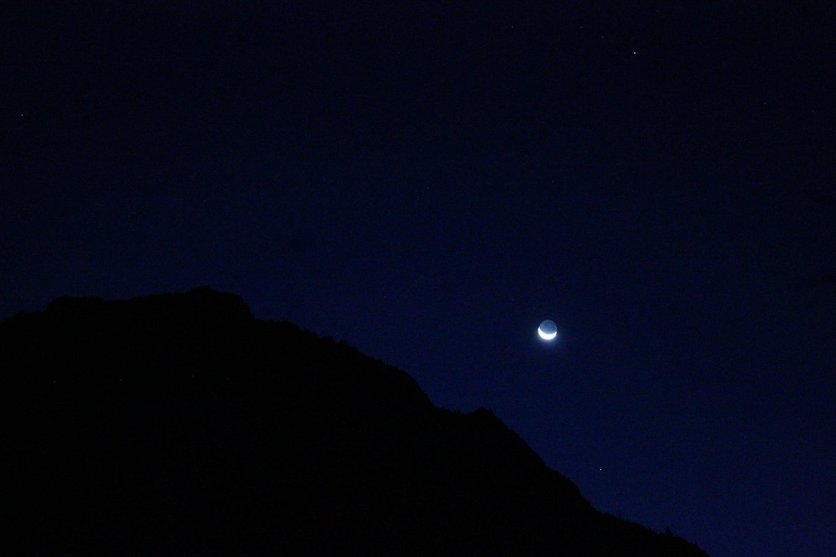 Mariela Gonzalez tweet media