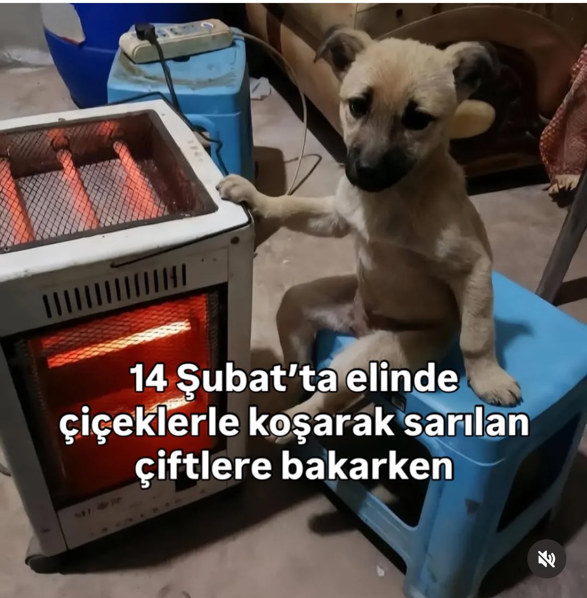 Bizim o sırada garibanlık