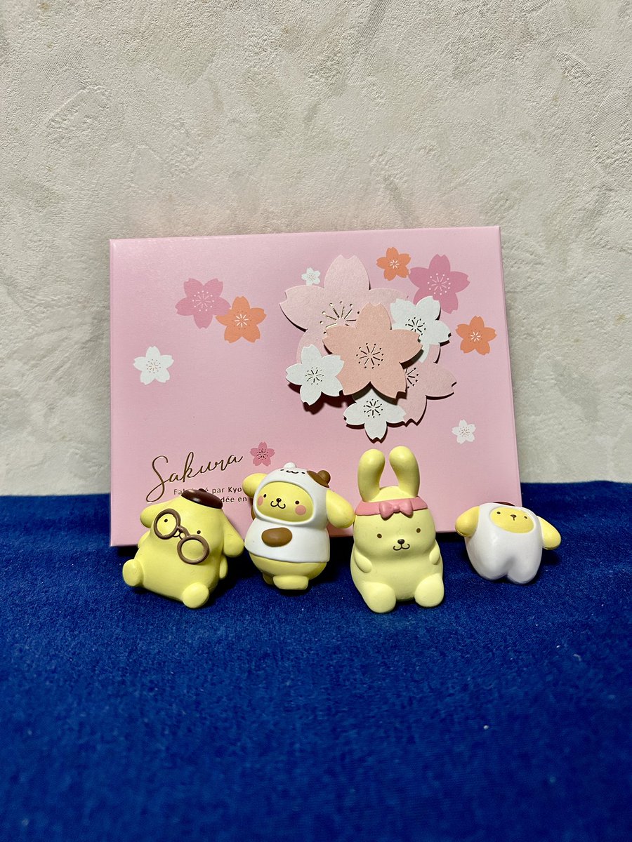 CRかめかめ tweet media