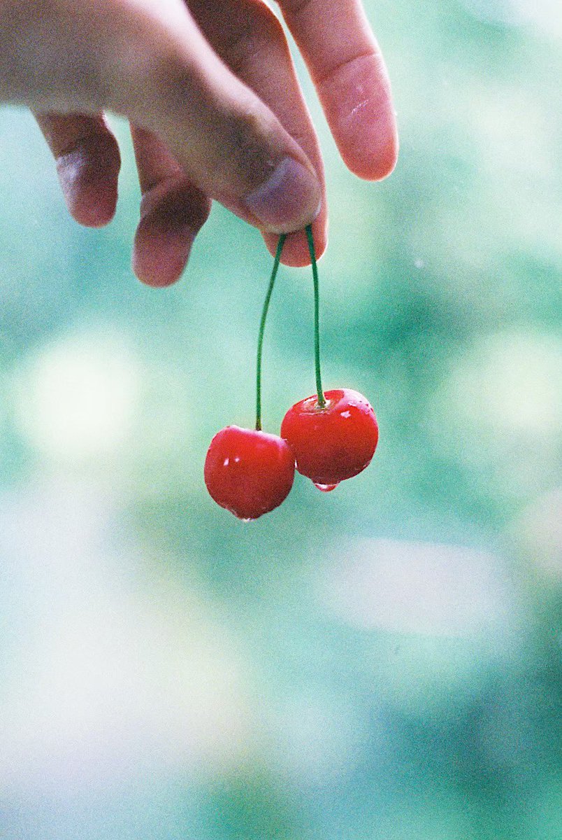 小林 駿平 (@ssyyuu_info) on Twitter photo 