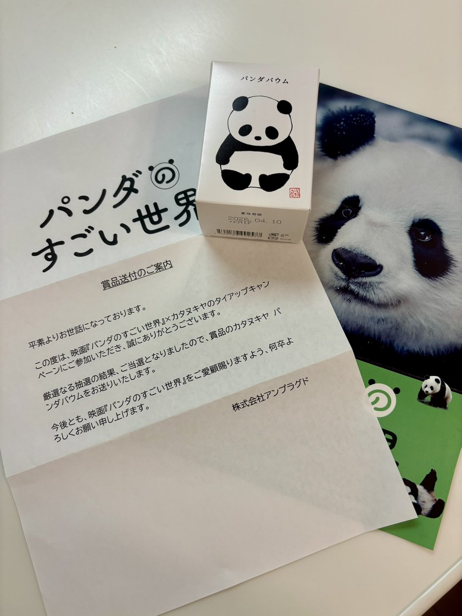 ちーじー🐼🌼 (@mutasokj) / Posts / X