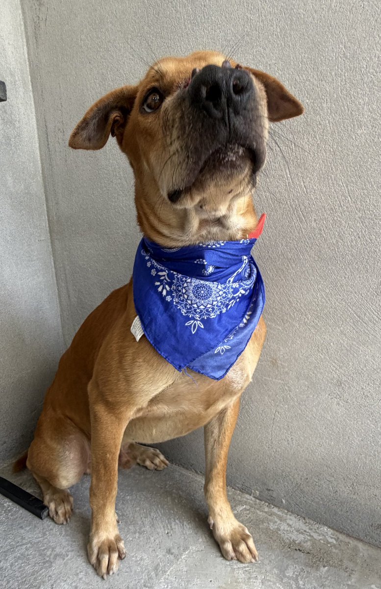 Niall Harbison tweet media