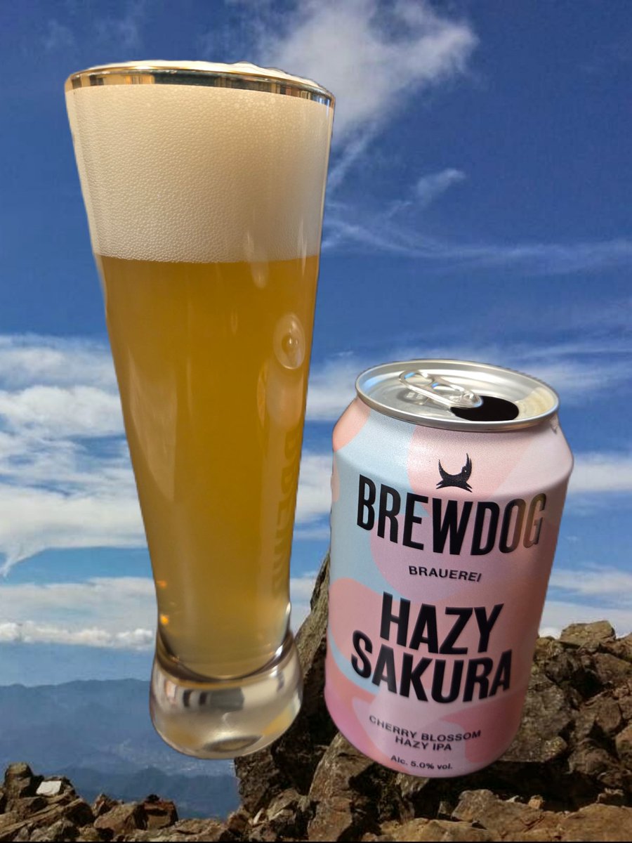 heart_bz's tweet photo. #ビール 
【BREW DOG HAZY SAKURA】
霞桜をモチーフにしたIPAですかね。
網走ビールさんの桜ドラフトも美味しいですが、こちらはIPAだけあって苦味もガツン！
またマンウィズとコラボしてくれないかなぁ。 https://t.co/iJzCy42nkM