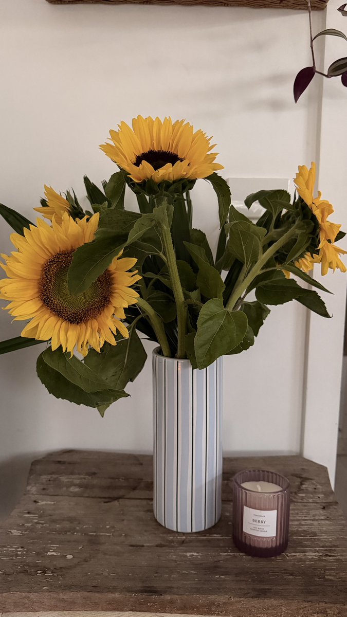 Mi 14 de febrero 💖 llego Fer con mis Flores favoritas 😍