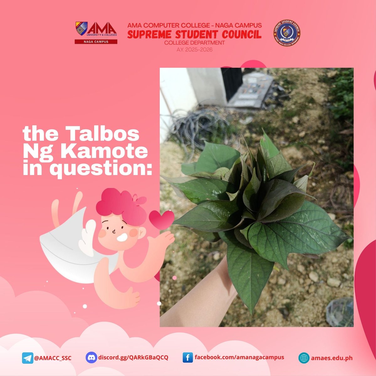 AMACC Naga - Supreme Student Council tweet media