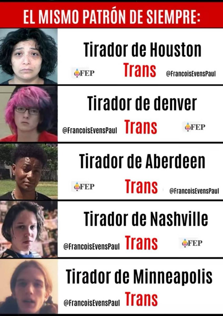 Zé Gato 🇵🇹🐍 tweet media