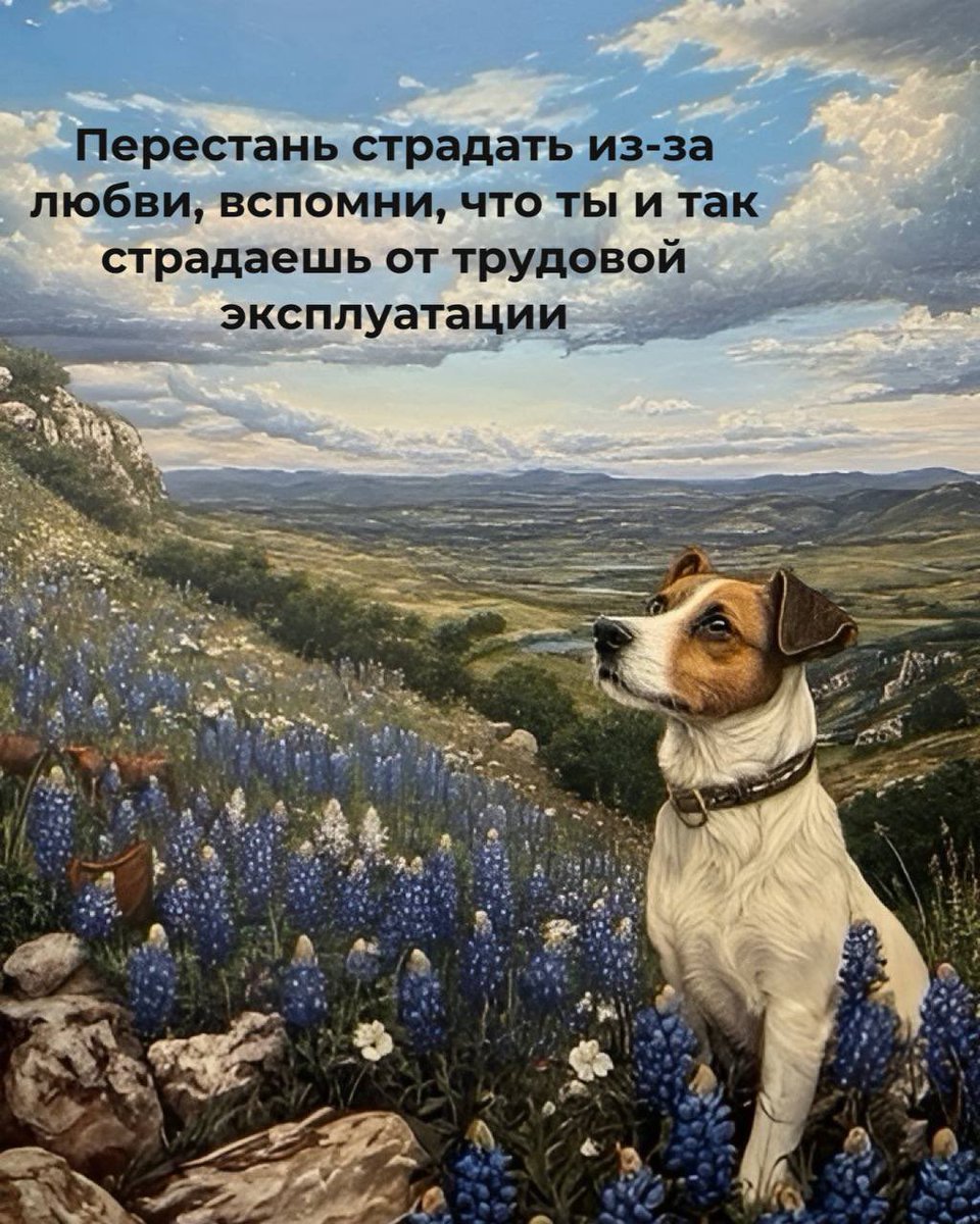 Млимова Каша tweet media