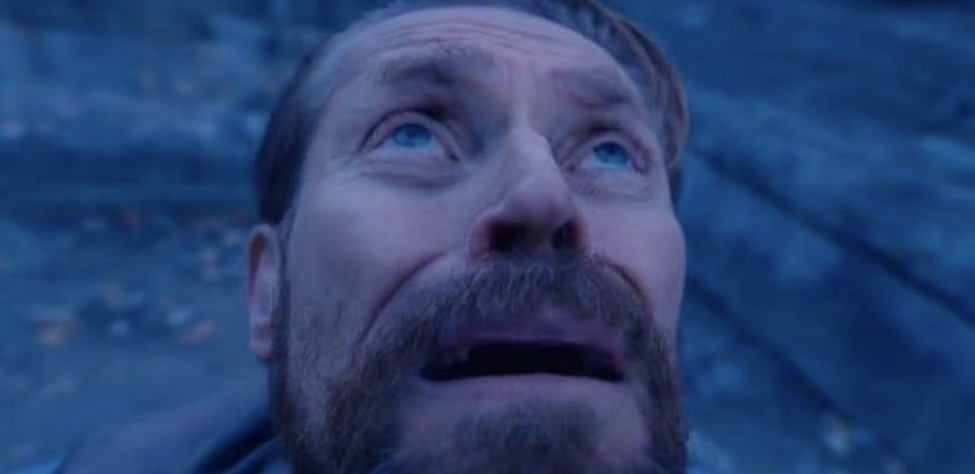 Ja dziś  gdy słońce wyszło pon6 tygodniach deszczu: