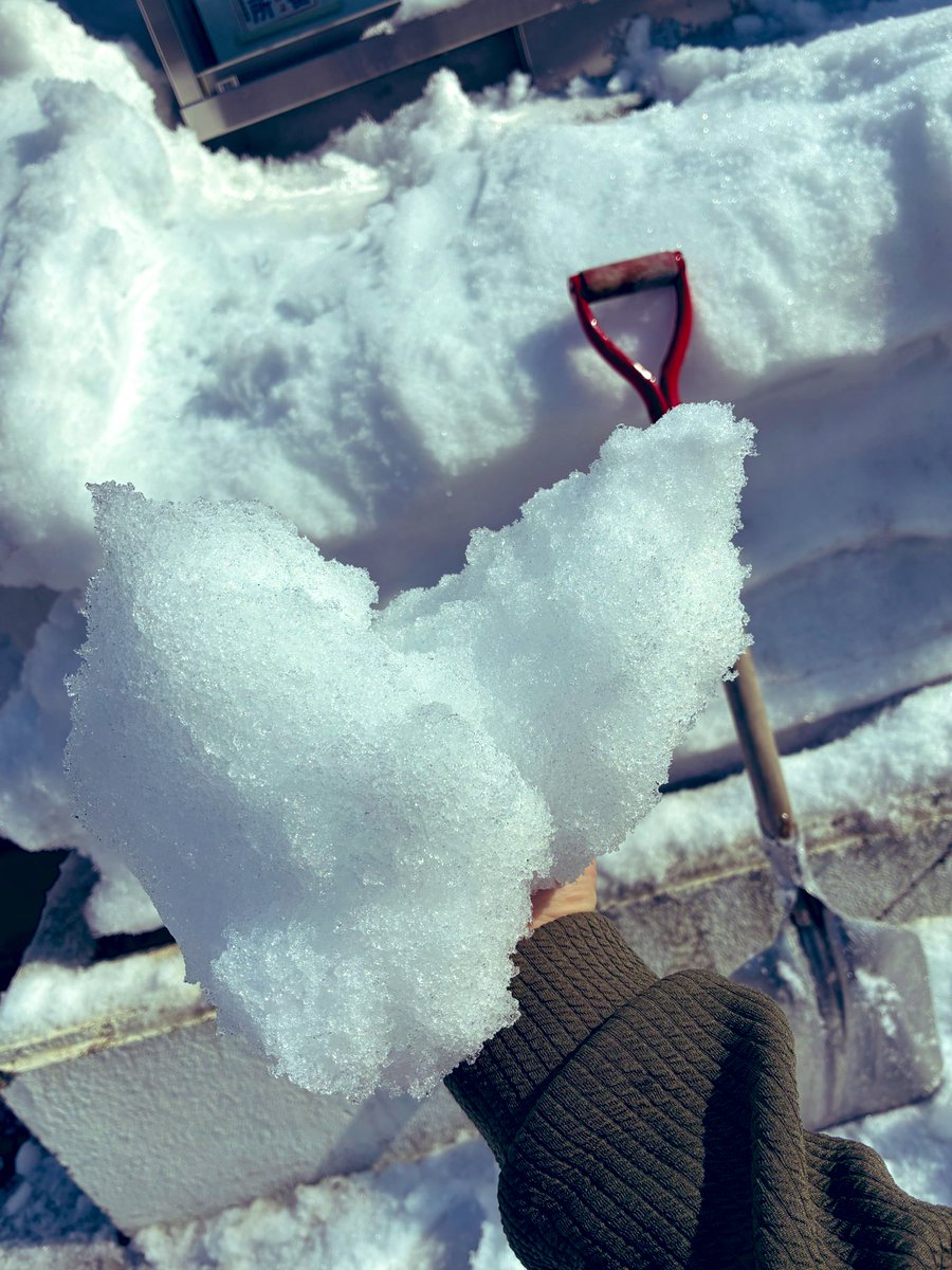 暖かくなって溶けかけて粒子の荒くなった雪のこと、ざらめ雪って言うんですね。私には粗塩に見えました。