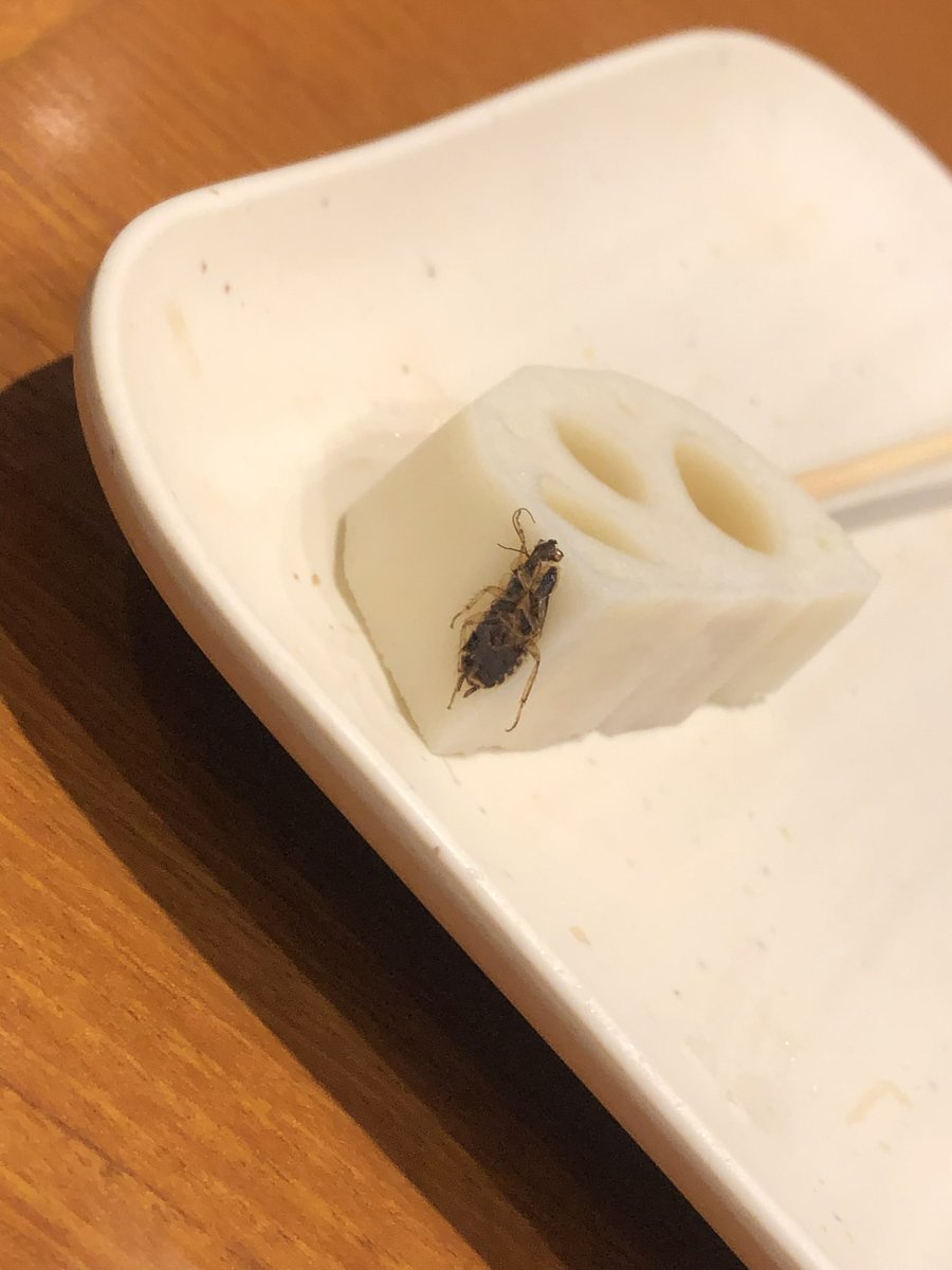 hxr_c's tweet photo. @omegudayon 【画像🪳閲覧注意】

私も以前串家物語行ったられんこんにゴキブリぺったんこしてたよ...テーブルで母がこの串持った瞬間に気付いて静止したから食べずに済んだけど、私が気付いてなかったらと思うと...🤮 https://t.co/zJ6zH7LIXU