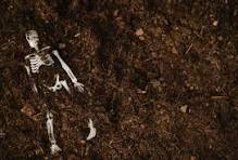 Idyllic shadows
where pain can kiss
a soul
Pale ghosts
that wound
the reservoir of blood
Touching aching bones
that linger
in this lambent crypt
of mud
Imbibing peace
from the dark lacuna
at the edge
of eternity's flood 

#vss365 (all14) #ThanksDan