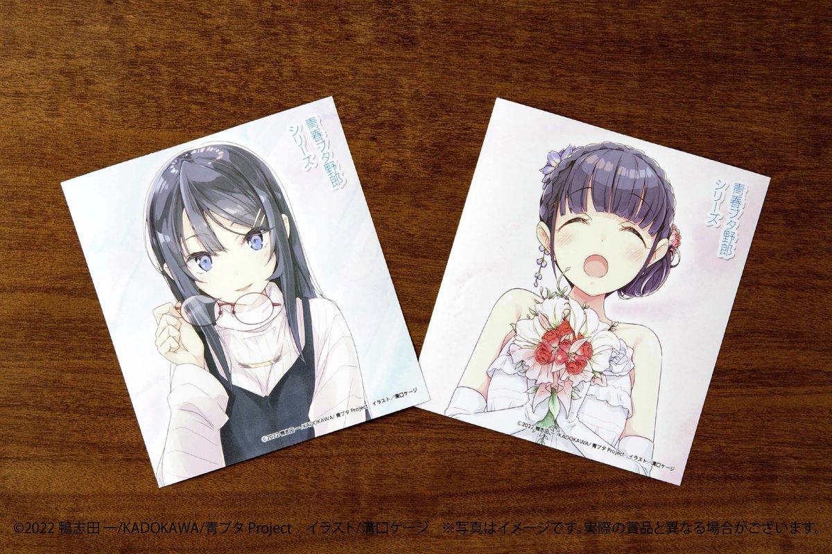 ✨商品写真公開✨ 【「青春ブタ野郎」シリーズ オンラインくじ 2022 秋