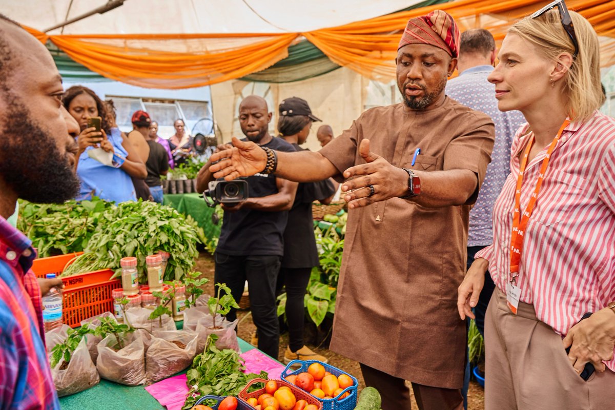 IFDC North and West Africa (ARCHIVED) tweet media