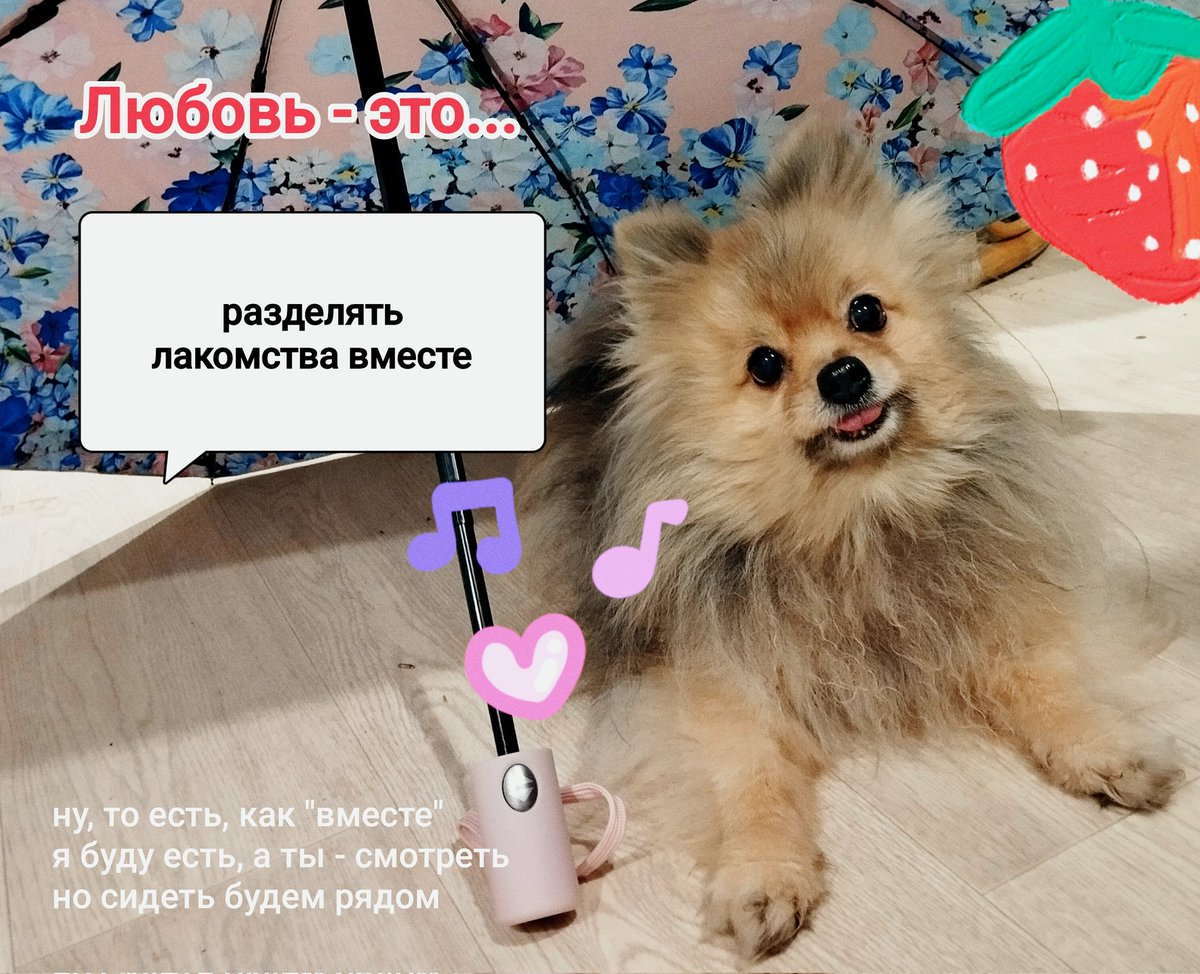 С днём дня, уважаемые и драгоценные ☺️💘💘🐾 будьте счастливы и помните, что вы любимы (мной!) 💘 съешьте шоколадку :3