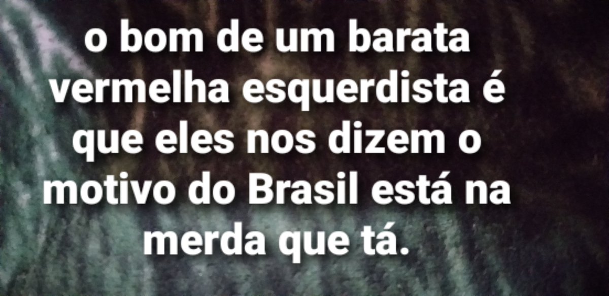 Thel🇧🇷🇮🇱🇧🇷 tweet media
