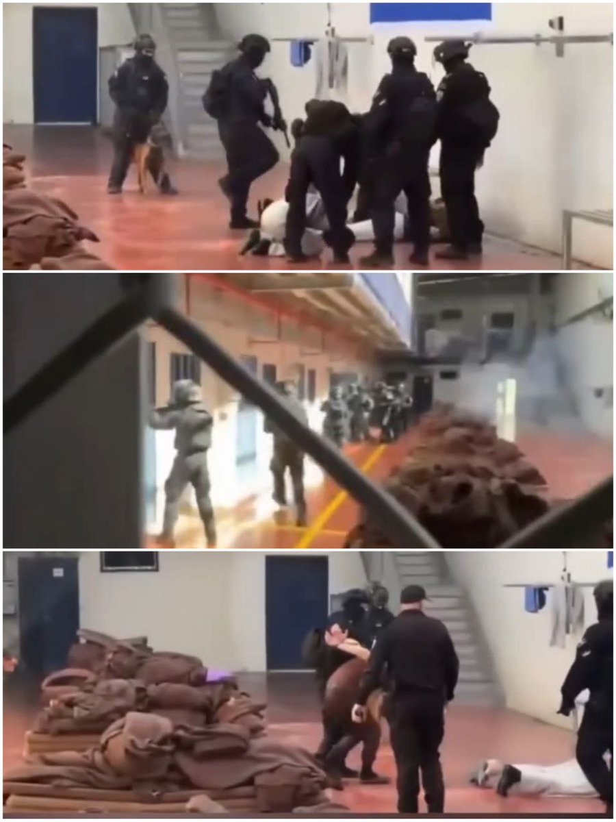 Marchfoward's tweet photo. Warden Penjara Ofer Israel bertindak membelasah banduan Palestin semalam sewaktu lawatan Menteri Keselamatan Negara Israel, Itamar Ben Gvir dan kepimpinan tinggi Polis Israel ke penjara berkenaan semalam

Warden penjara bertindak lepaskan tembakan gas pemedih mata dan bom pegun. Mereka digari dengan baring meniarap dan kepala mereka ke bawah. Mereka juga kesejukan kerana tidak diberi pakaian musim sejuk sedangkan lantai penjara itu sangat sejuk. Mereka juga tidak dapat selimut 

Ramai banduan Palestin kini kekurangan berat badan kerana tidak diberi makanan sepatutnya, disiksa dan jugak dizalimi