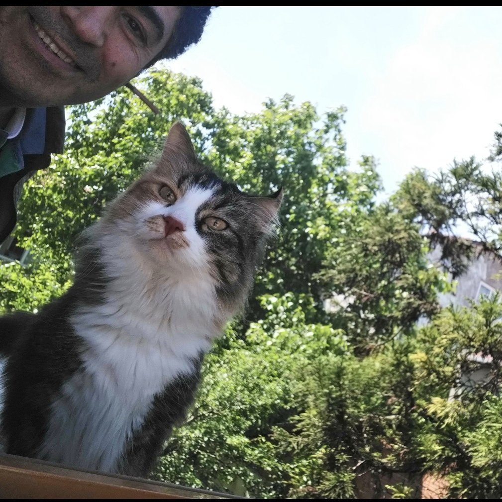 20 yıldır hiç mi güzel bir şey olmaz ülkede ali dediğini duyar gibiyim..Doğum günün kutlu olsun pakişim