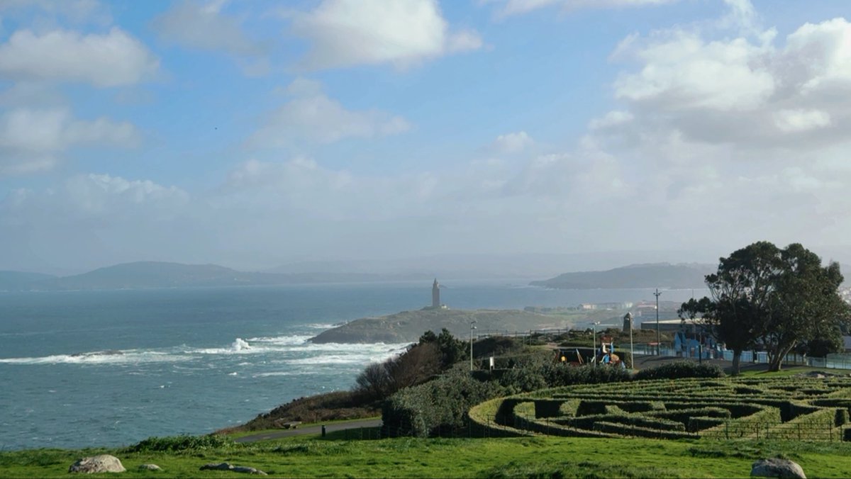 zoewhiter 10K tweet media