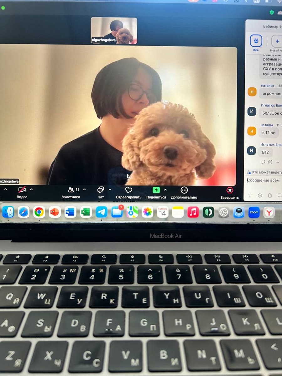 Olga Zhogoleva tweet media