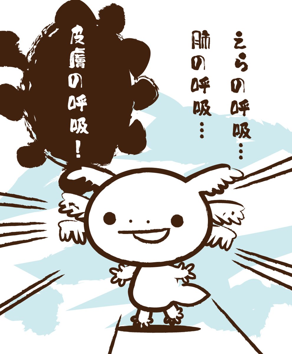 できる呼吸は全取得