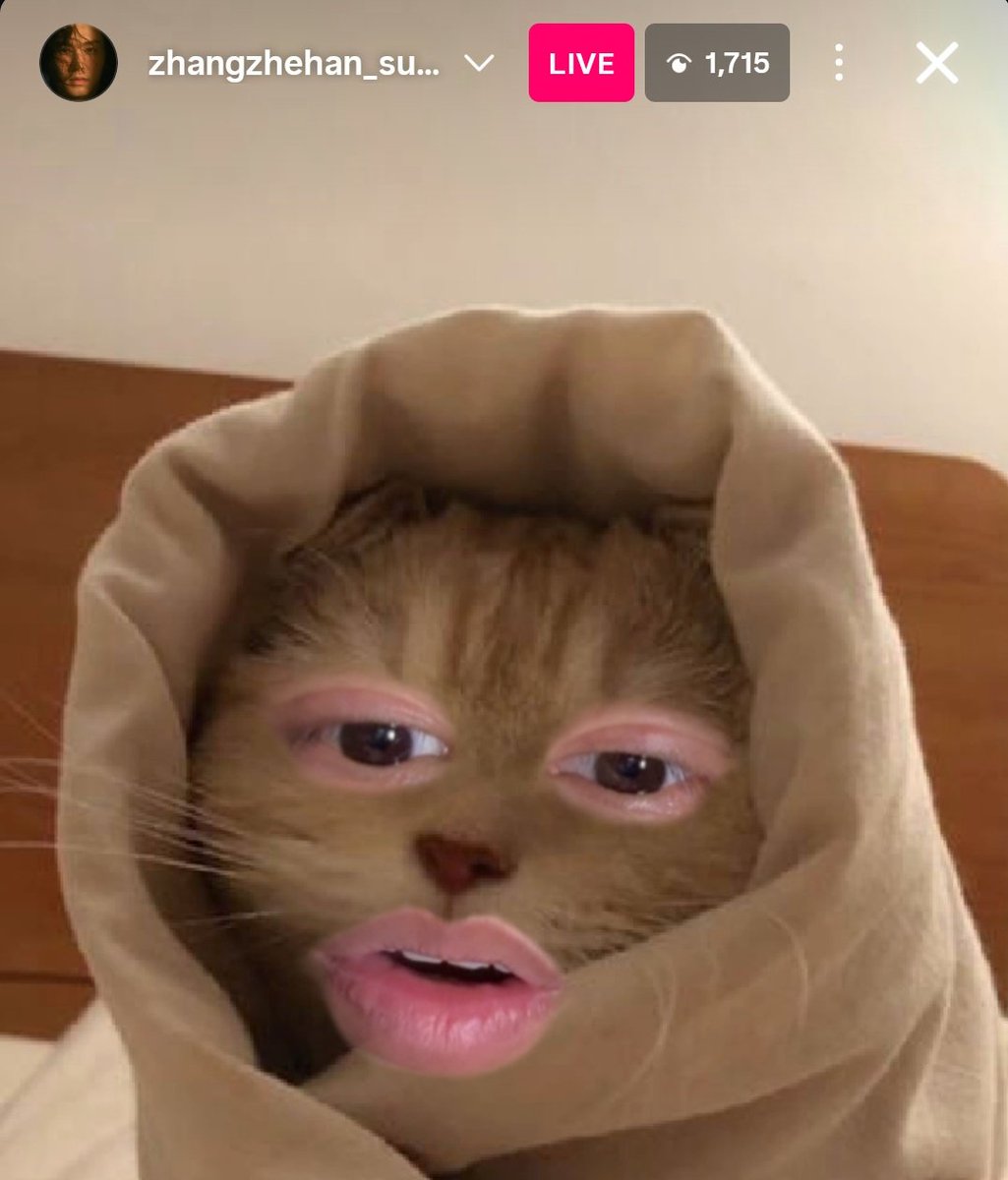 直播中斷了再點進去看到這個嚇我一跳🤣🤣