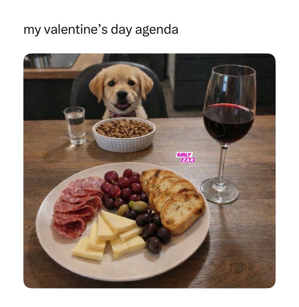 Puppies 🐶 (@puppiesiover) on Twitter photo 