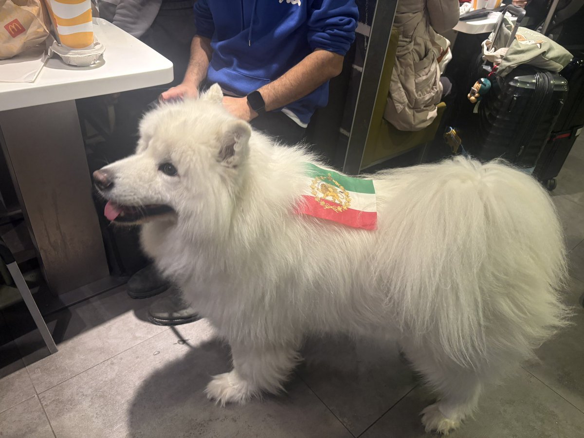 ریتالین tweet media