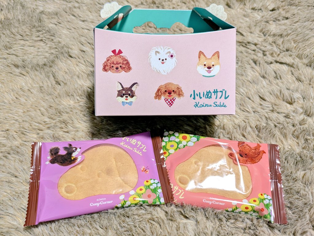 コージーコーナーの小犬サブレ
中身までかわいー
#犬パケ