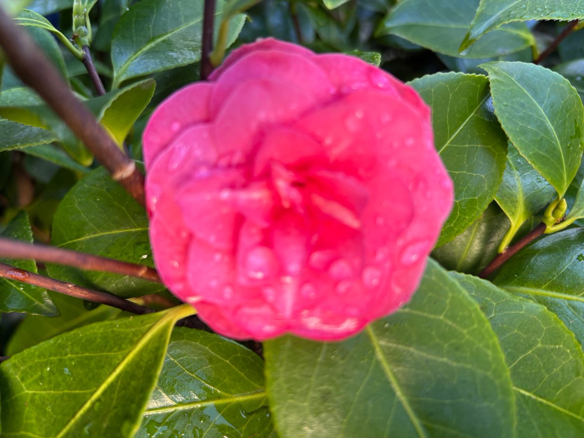 Kathryn Lavery (She/Her)💙 tweet media