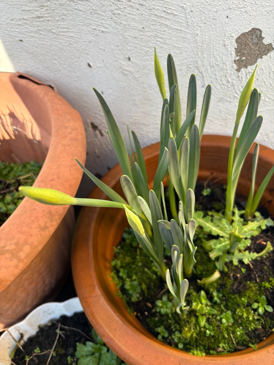 Kathryn Lavery (She/Her)💙 tweet media