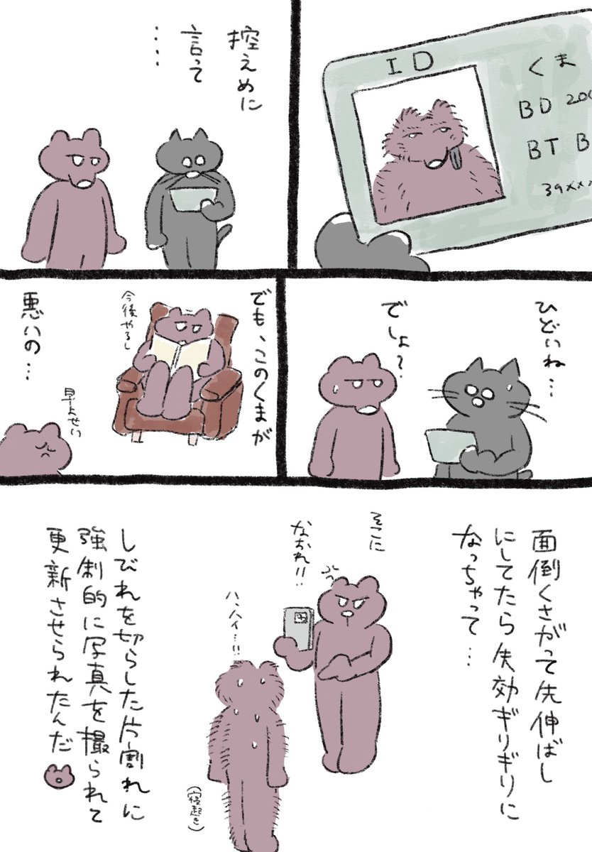 Post by さくぴ on X: 🐻🪪