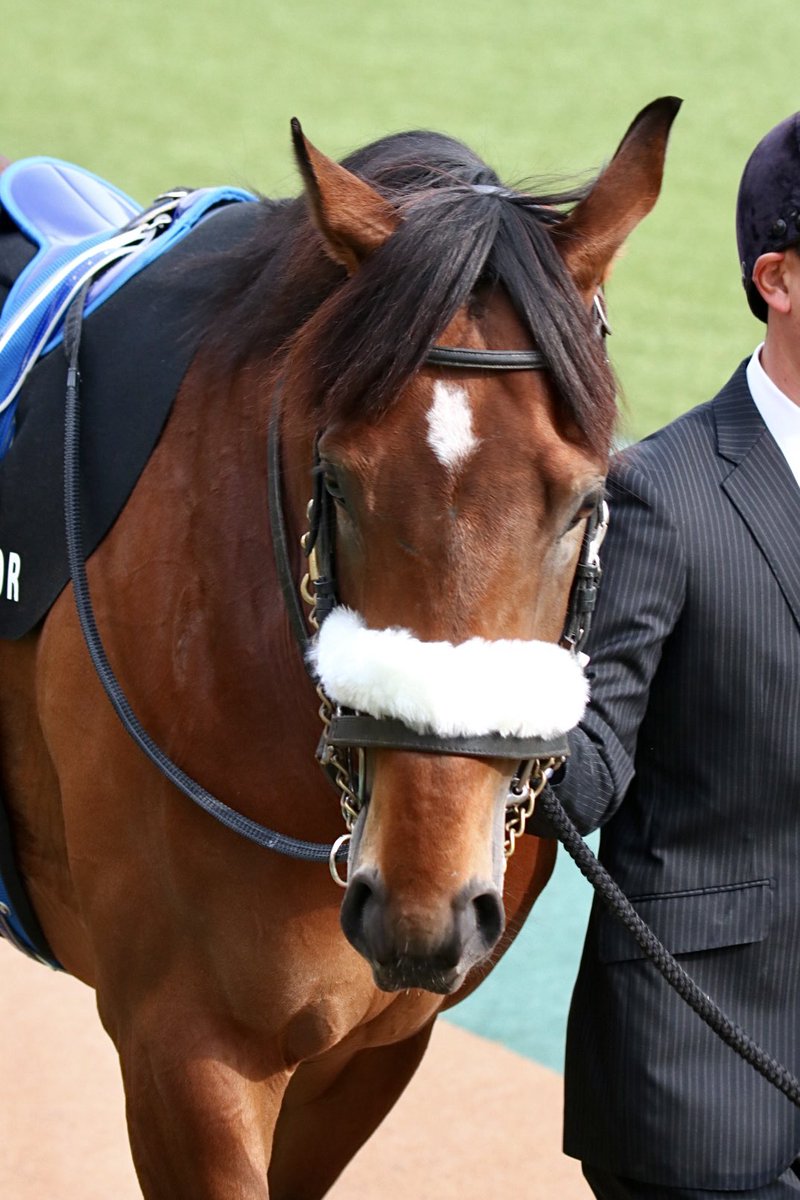 2月14日（土）東京競馬場 9R 箱根特別 アロンズロッド 3着🥉👏立派だよ