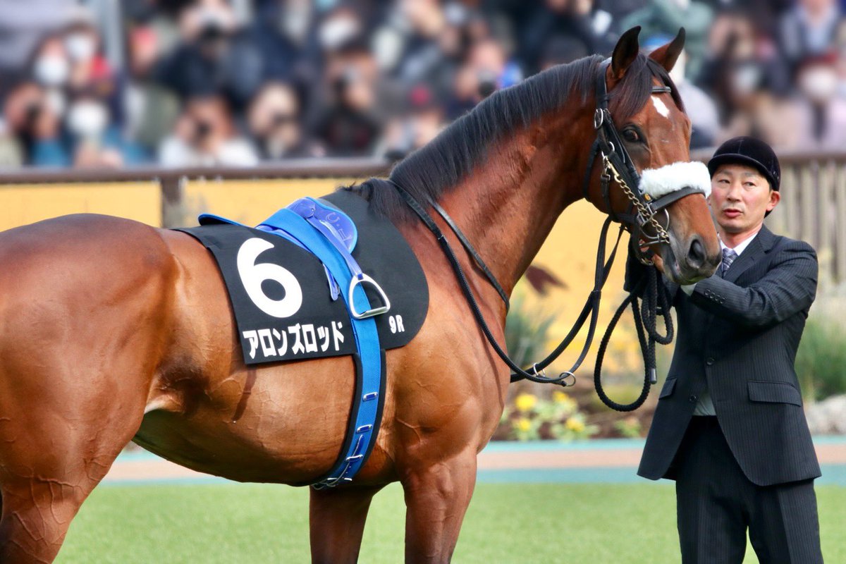 2月14日（土）東京競馬場 9R 箱根特別 アロンズロッド 3着🥉👏立派だよ
