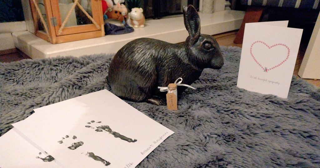 Captain Albert tweet media