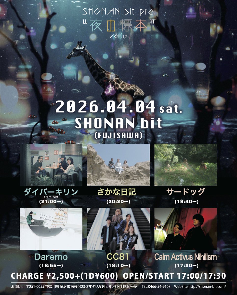 [ライブ情報]

2026年4月4日(土)
会場:湘南bit

『夜の標本　Vol.19』

OPEN / START 17:00 / 17:30
ADV / DAY ¥2500+1drink(¥600)

act... ダイバーキリン／さかな日記／サードッグ／Daremo／CC81／Calm Activus Nihilism

🌕CC81は18:10〜！
2026年2本目も湘南bitにて◎
よろしくお願いします！