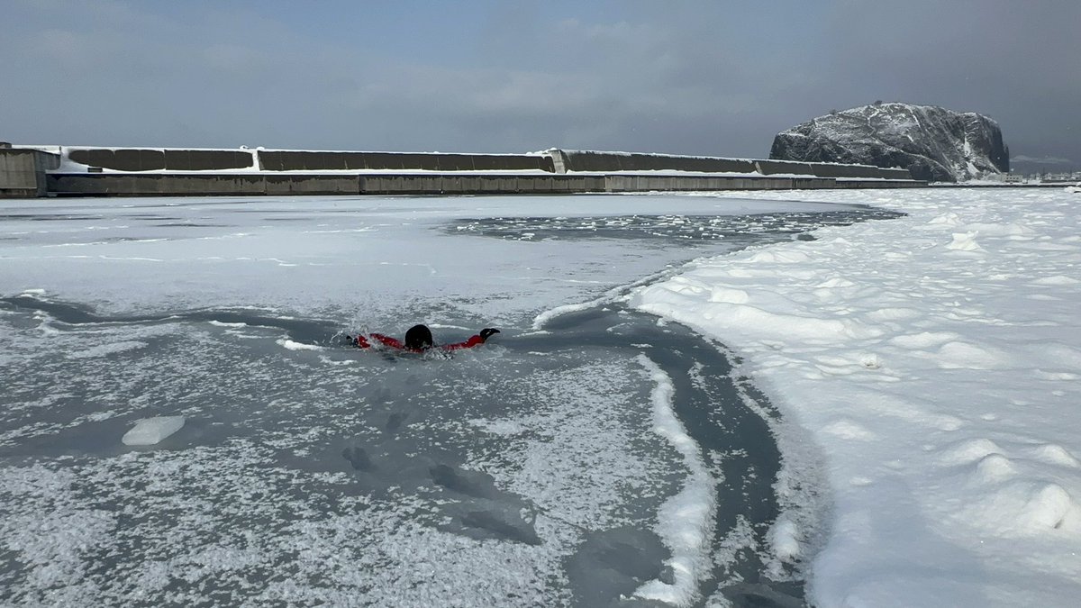 デカマラリーマン tweet media