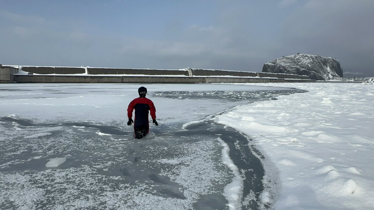 デカマラリーマン tweet media
