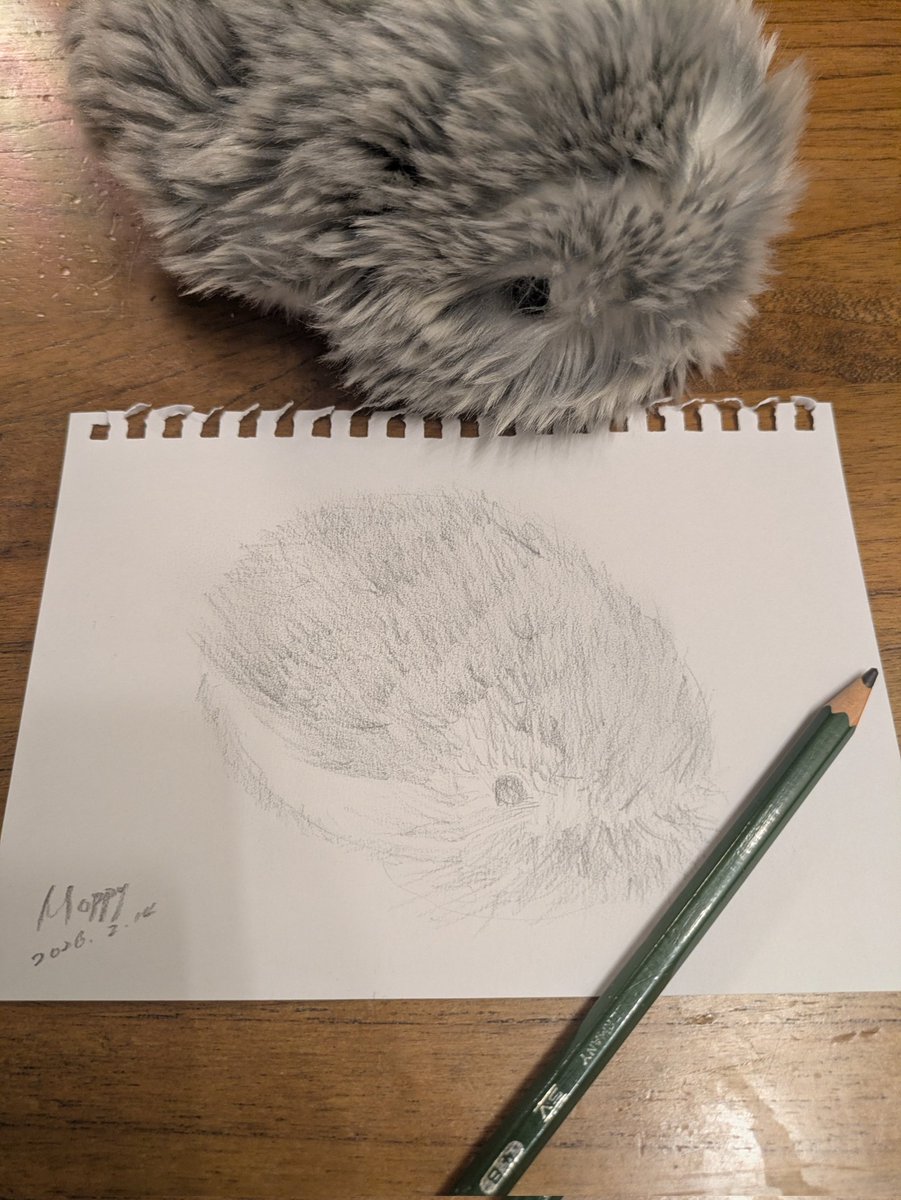 公式】Moflin（モフリン）｜感情が育つAIペット (@casio_moflin